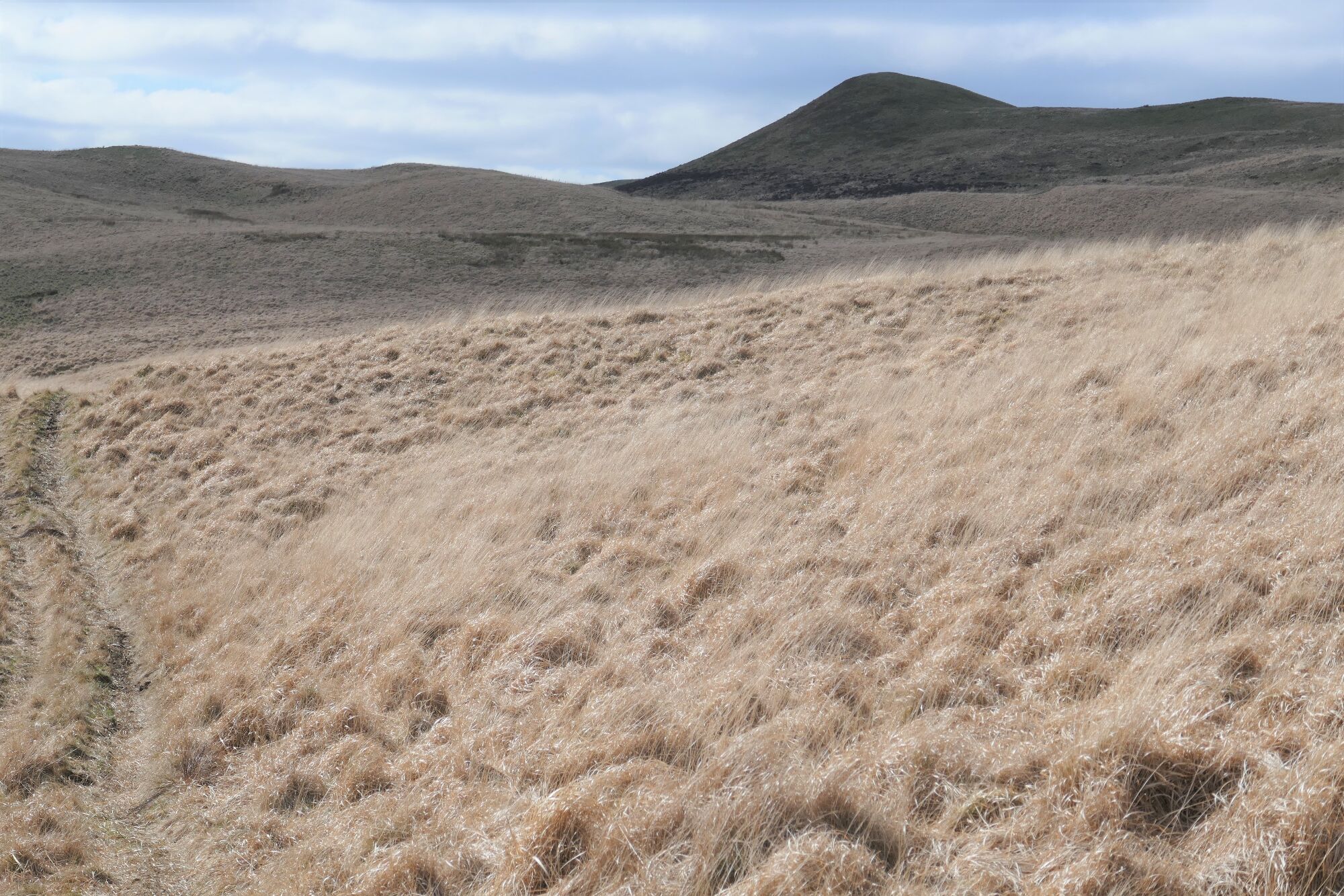 RachelSeabrook.net | Wild Walking | Cwm Cyneiniog and Craig y Pistyll | pic17